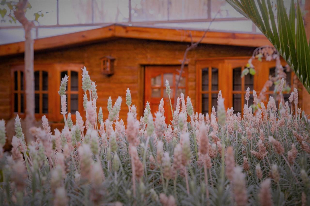 Don Pepe Hotel Y Cabanas El Calafate Esterno foto
